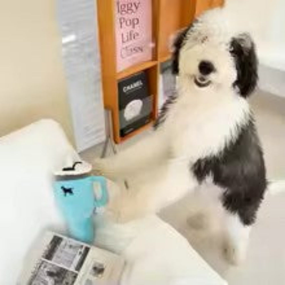Tall Squeaky Plush Travel Cup Dog Toy