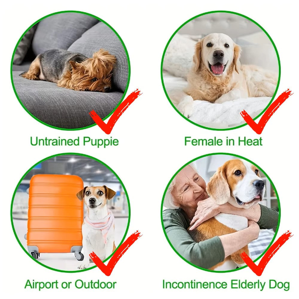 3PC Set Washable Leakproof Female Dog Diapers