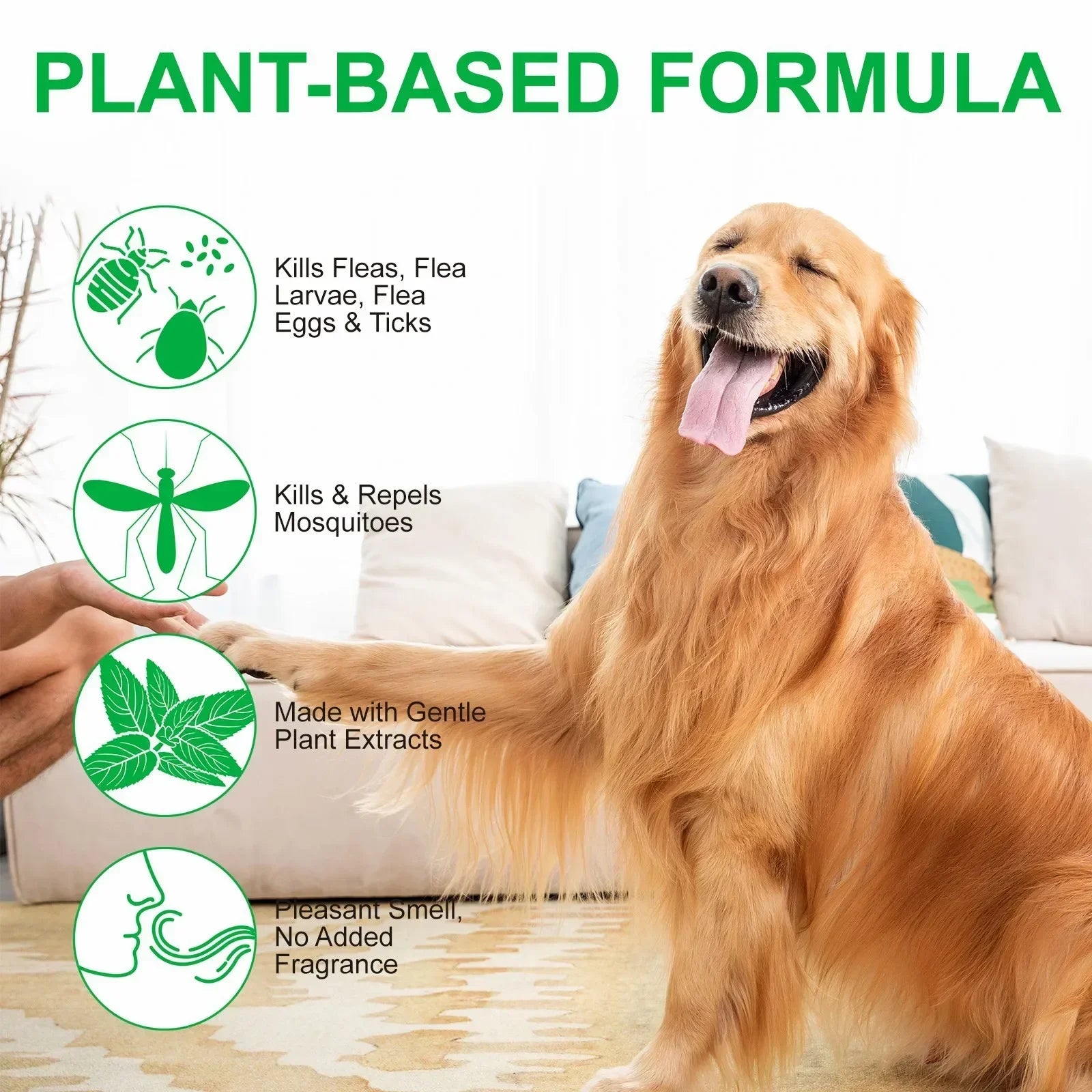 Natural Pet Care Topical Flea & Tick Spray