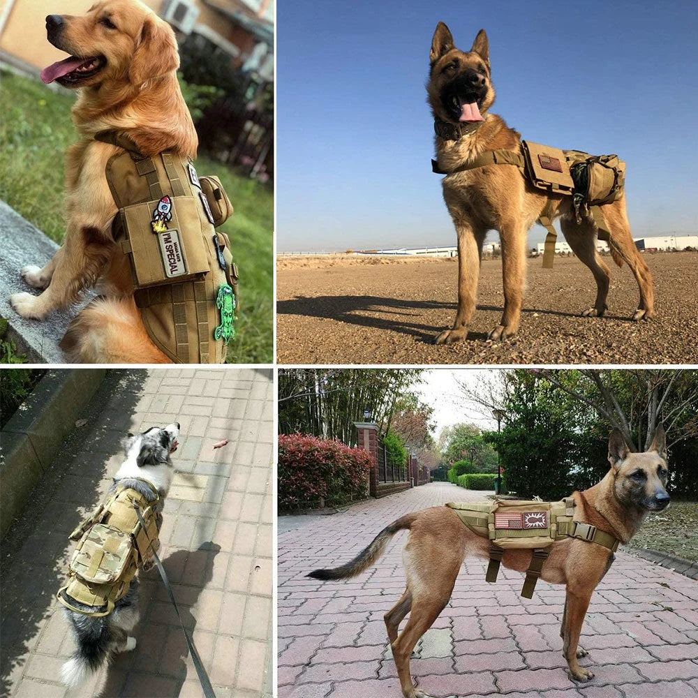 Large Dog Tactical Training Vest Harness & Leash Set