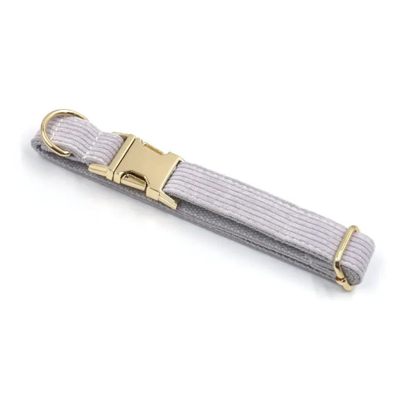 Fashion Corduroy Dog Collar w/ Gold Metal Buckle