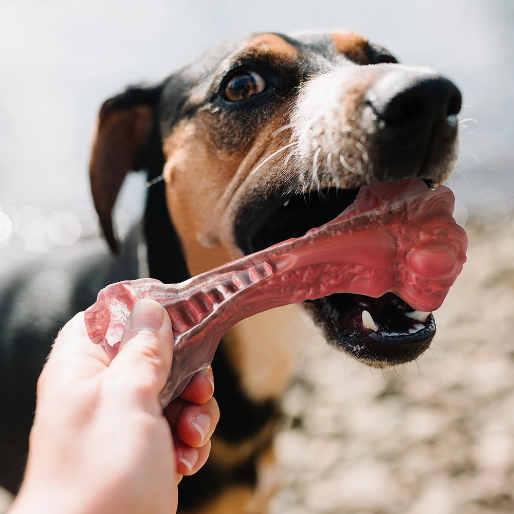 Tough Bone-Shaped Dog Toy For Aggressive Chewers