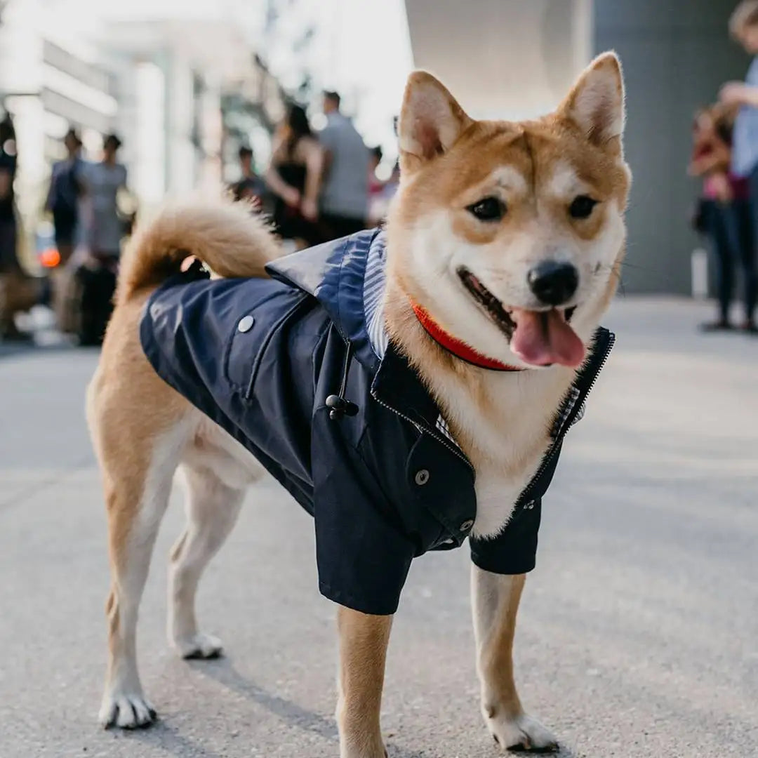 Stylish Colorful Hooded Waterproof Dog Rain Coat