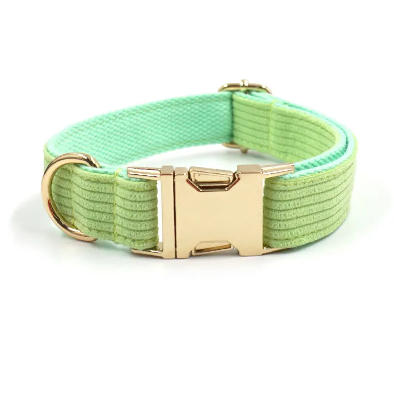 Fashion Corduroy Dog Collar w/ Gold Metal Buckle