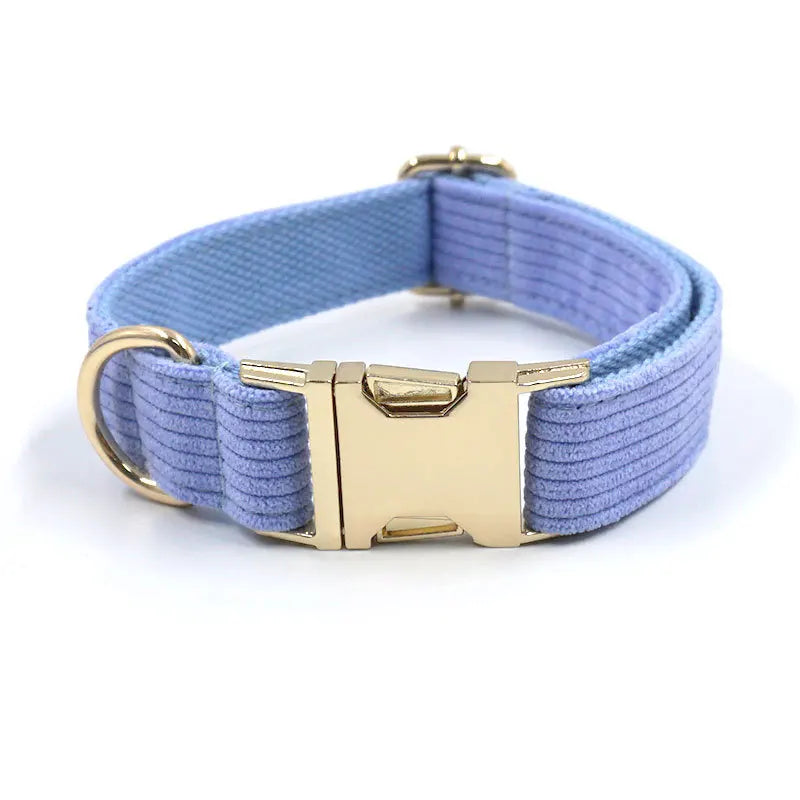 Fashion Corduroy Dog Collar w/ Gold Metal Buckle