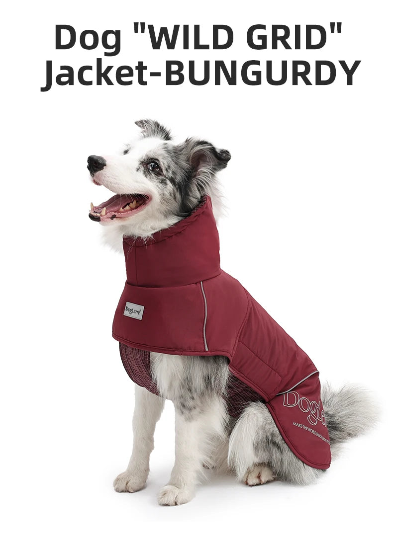 Winter Waterproof Insulated Softshell Dog Parka