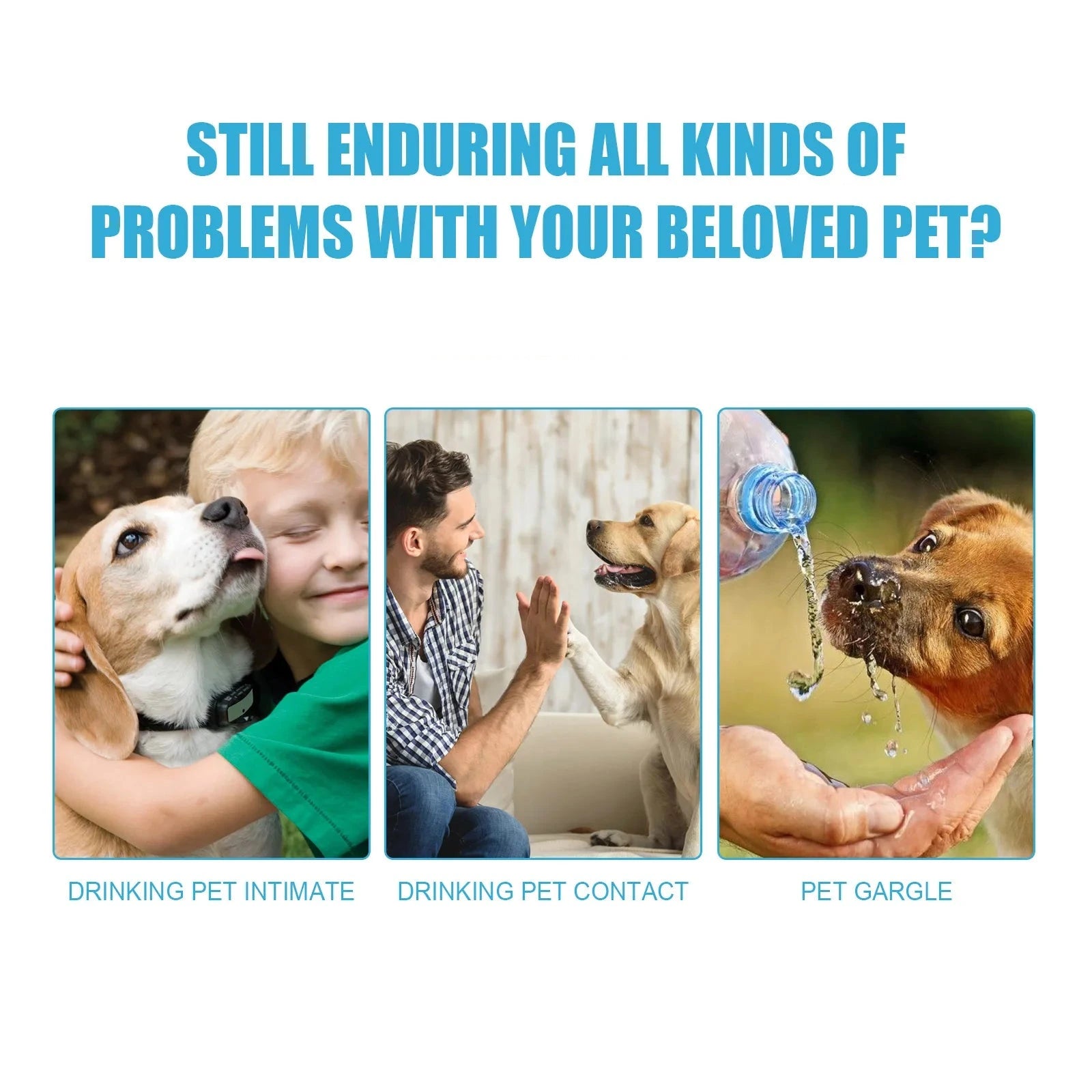 Advanced Oral Care Pet Toothpaste