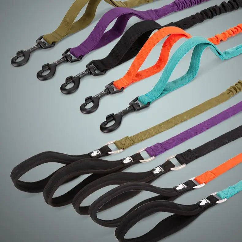 Flexible Cushioned Explosion-Proof Elastic Dog Leash