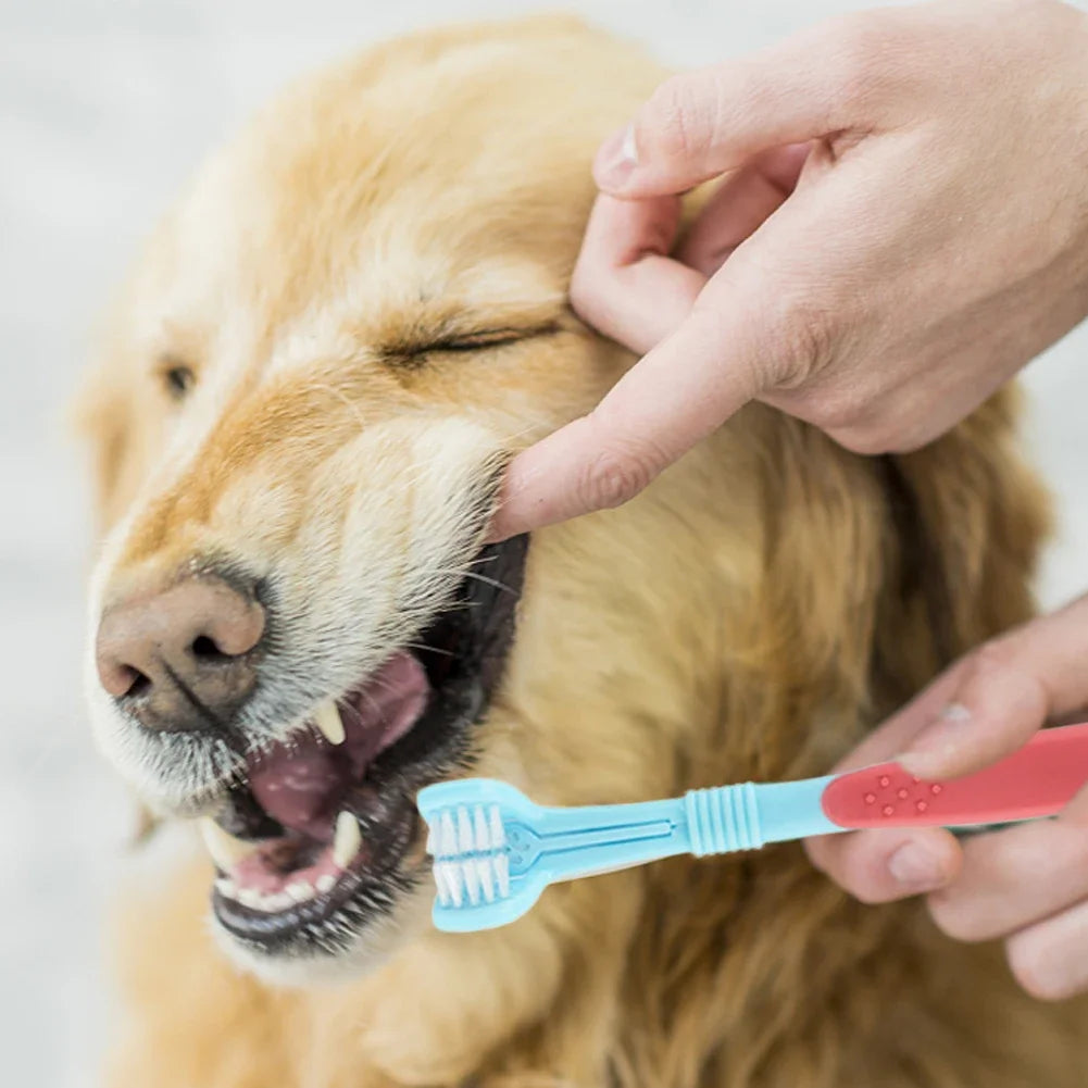 Three-Head Multi-Angle Pet Toothbrush