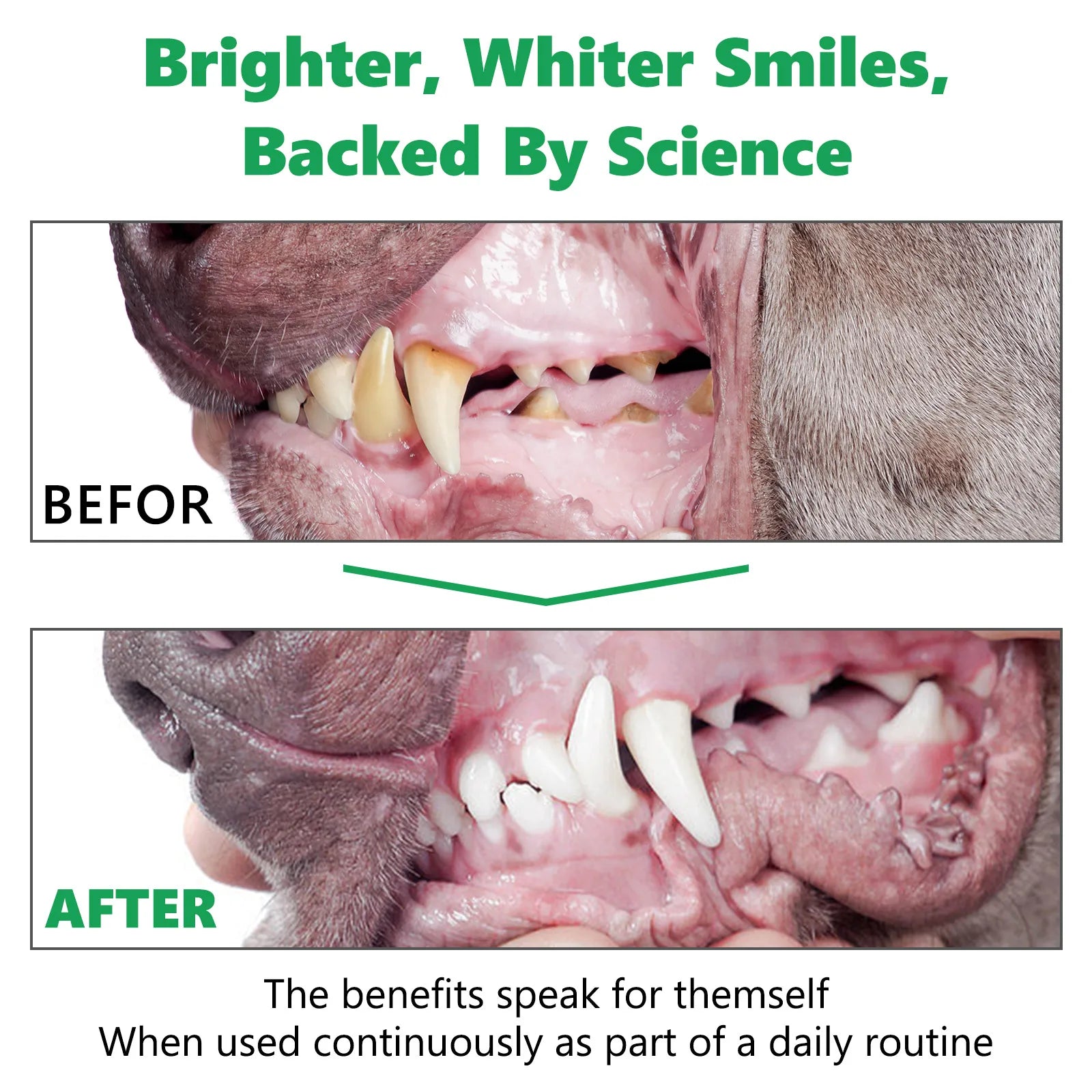 Vet Recommended Pet Dental Cleaning Powder