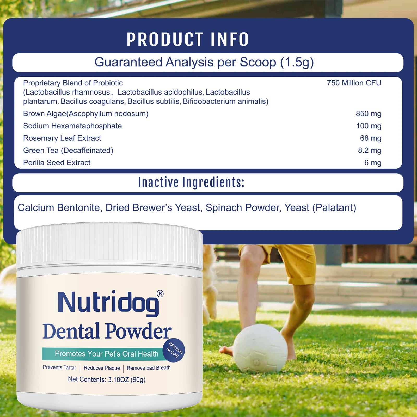 Green Tea Pet Dental Care Powder & Plaque Remover