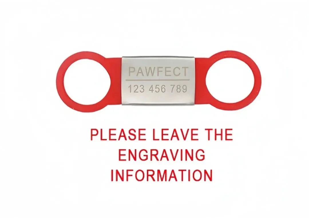Custom Laser Engraved Pet ID Collar Charm