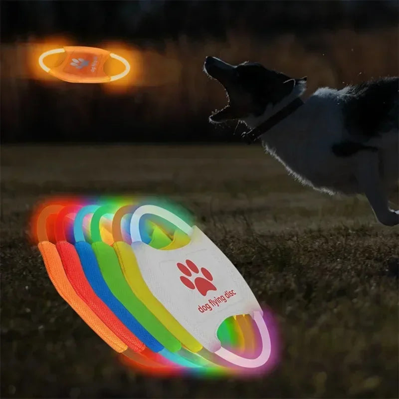 Luminous LED Flying Dog Frisbee