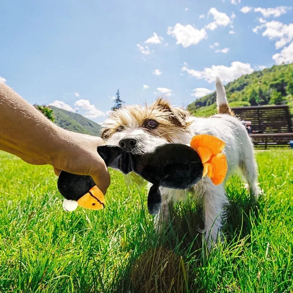 Funny Chicken Squeaky Plush Dog Toy