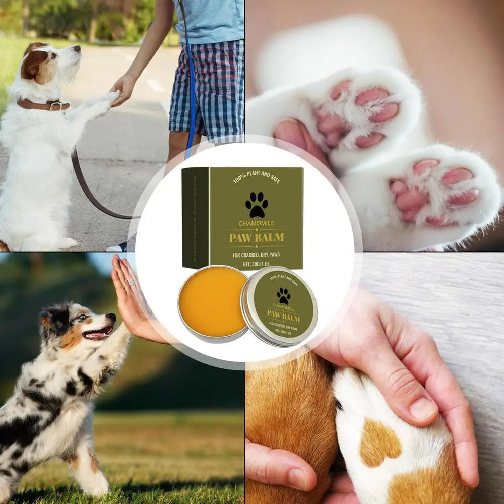 Chamomile Healing Pet Paw Balm