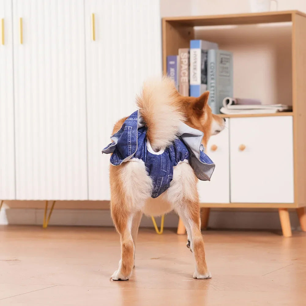 Cute Washable Female Dog Panties