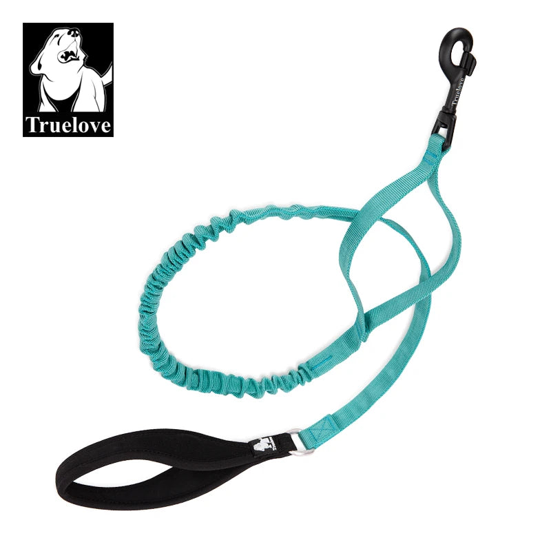 Flexible Cushioned Explosion-Proof Elastic Dog Leash