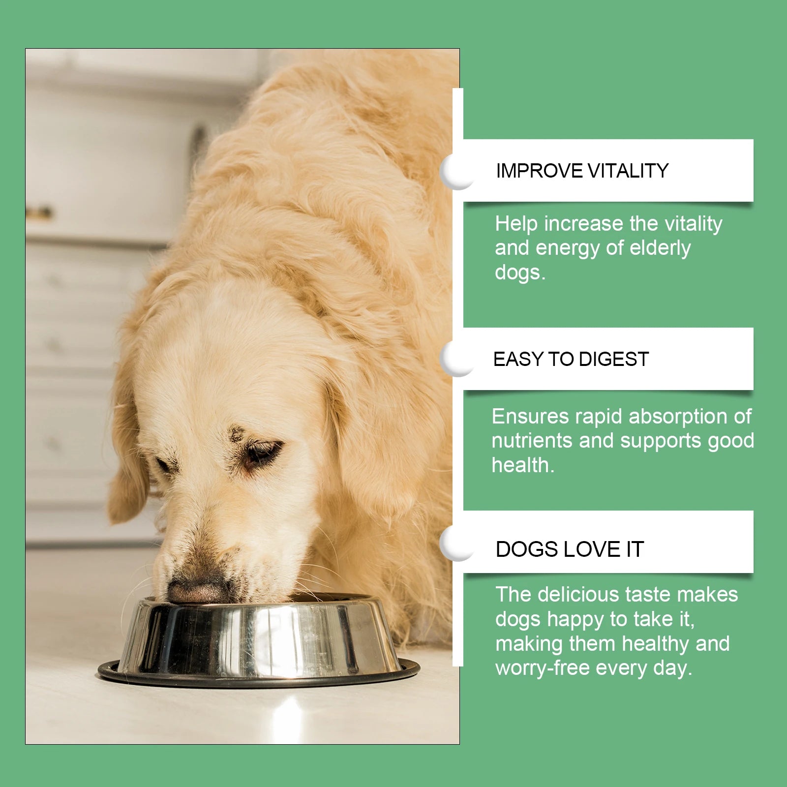 Senior Dog Metabolism & Immunity Boosting Multi-Vitamin Supplement Tablets