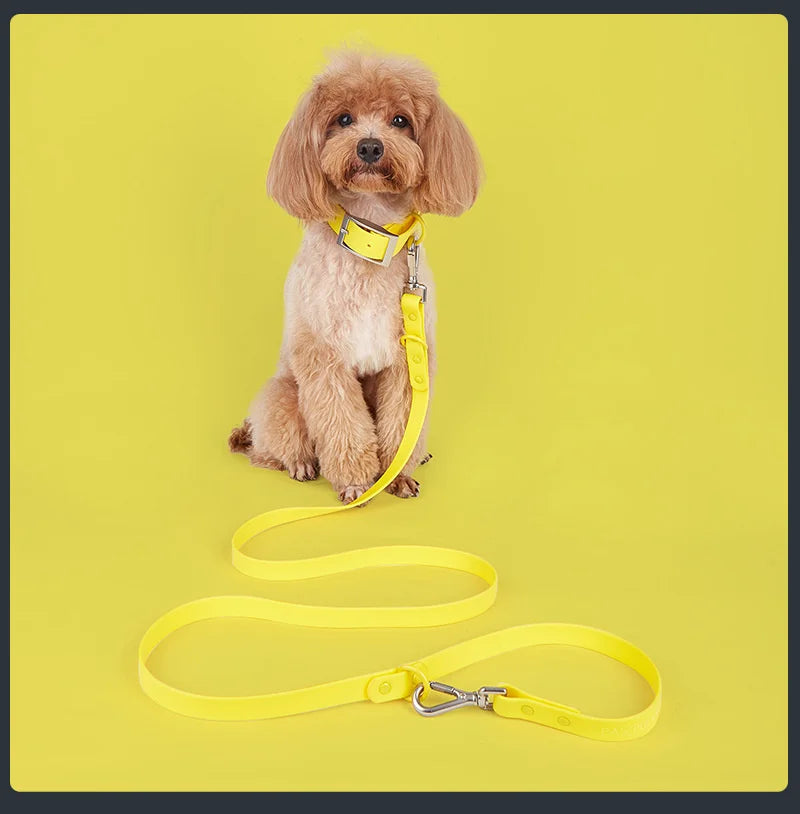 Strong Waterproof Double Head Rubber Dog Leash