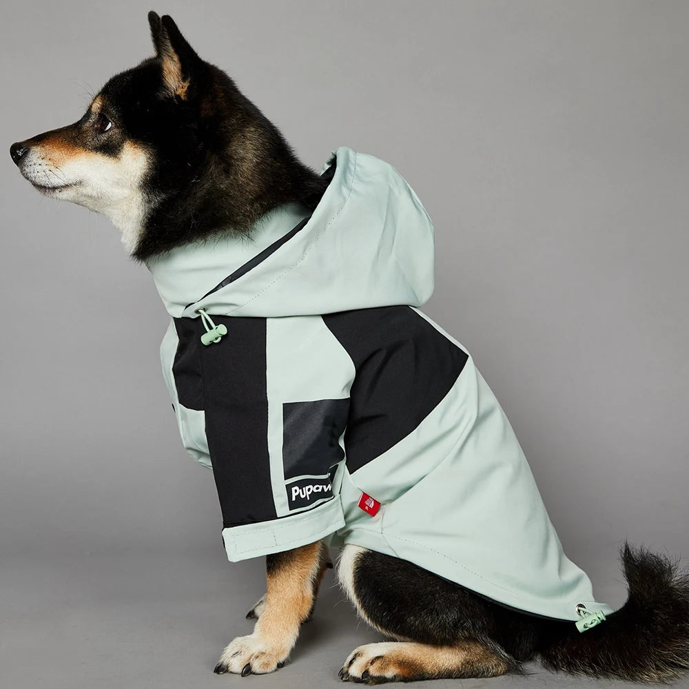 Luxury Designer Multi-Color Waterproof Pet Rain Coat