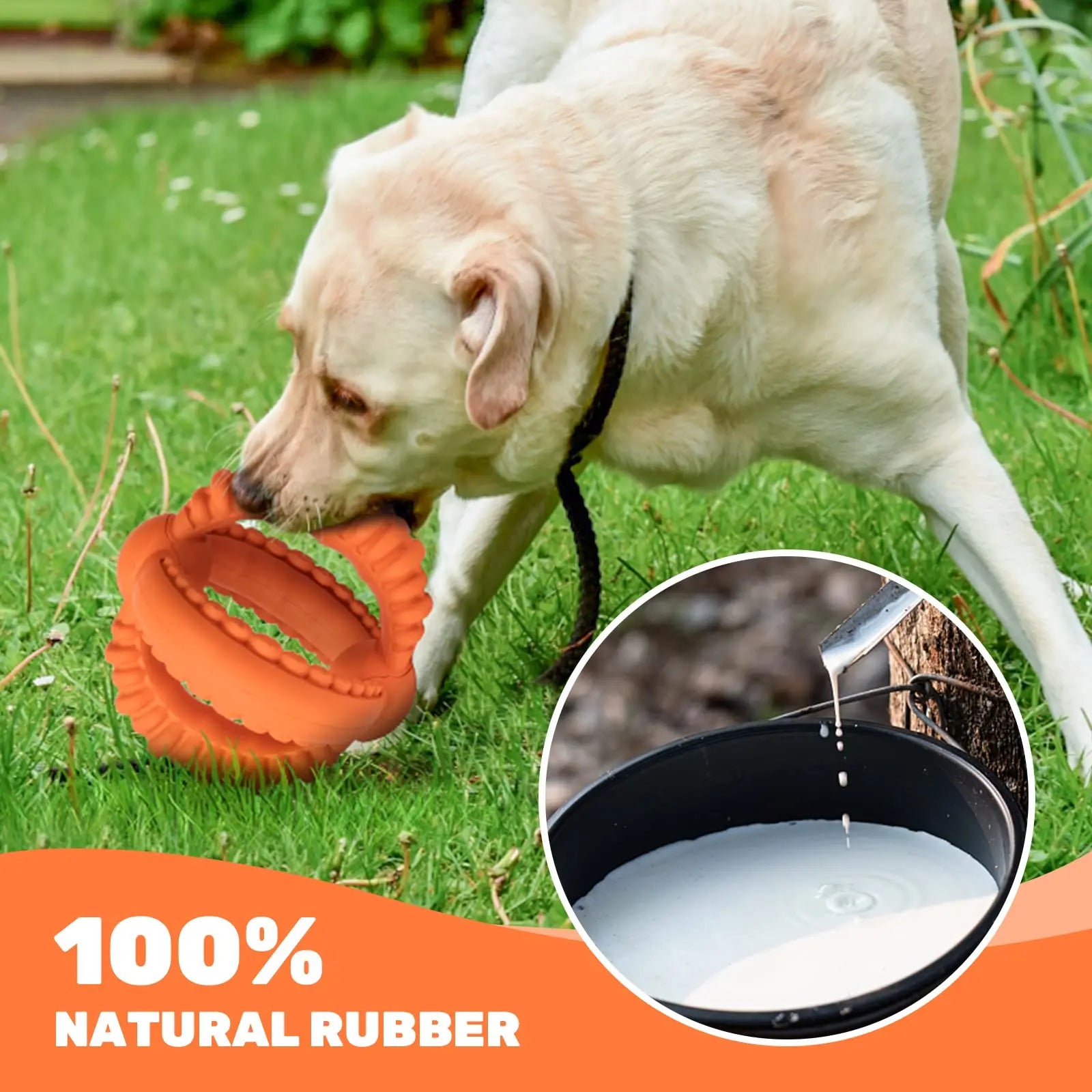Detachable Double Ring Natural Rubber Dog Chew & Fetch Toy