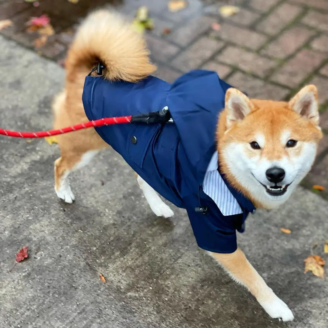 Stylish Colorful Hooded Waterproof Dog Rain Coat