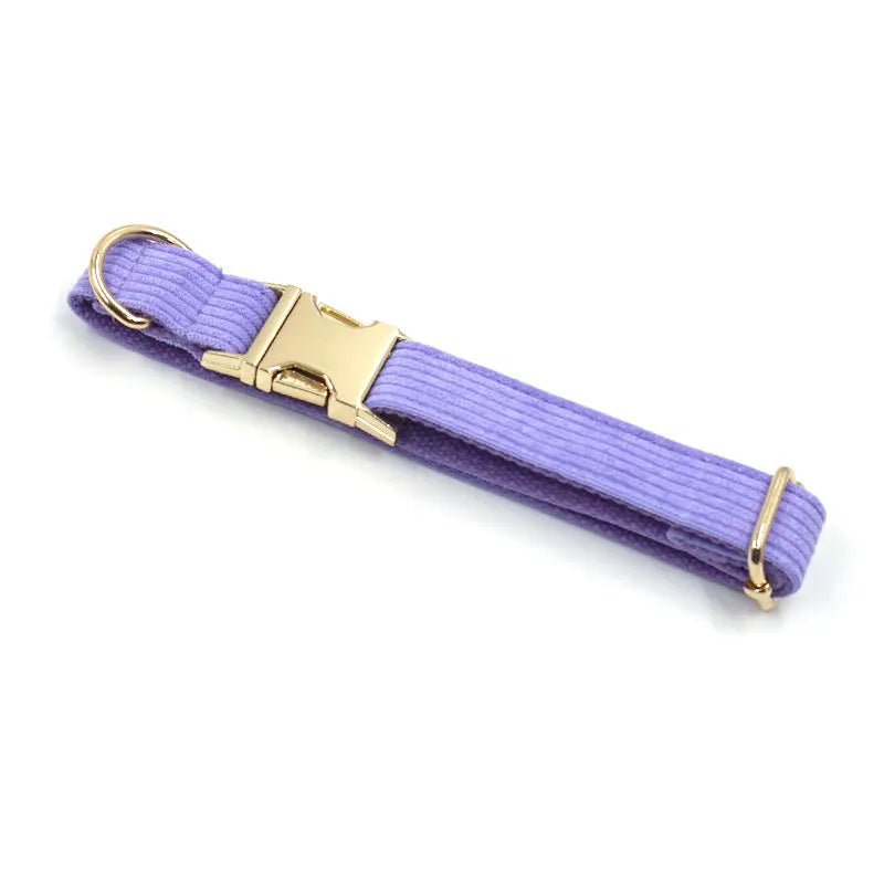 Fashion Corduroy Dog Collar w/ Gold Metal Buckle