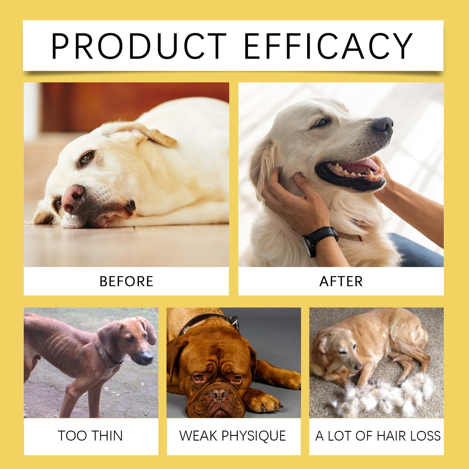 Natural Anti-Inflammatory Pet Yeast Infection Herbal Supplement Drops