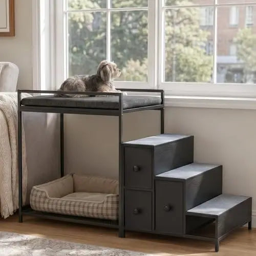 Pet Window Bunk Bed w/Stairs & Storage