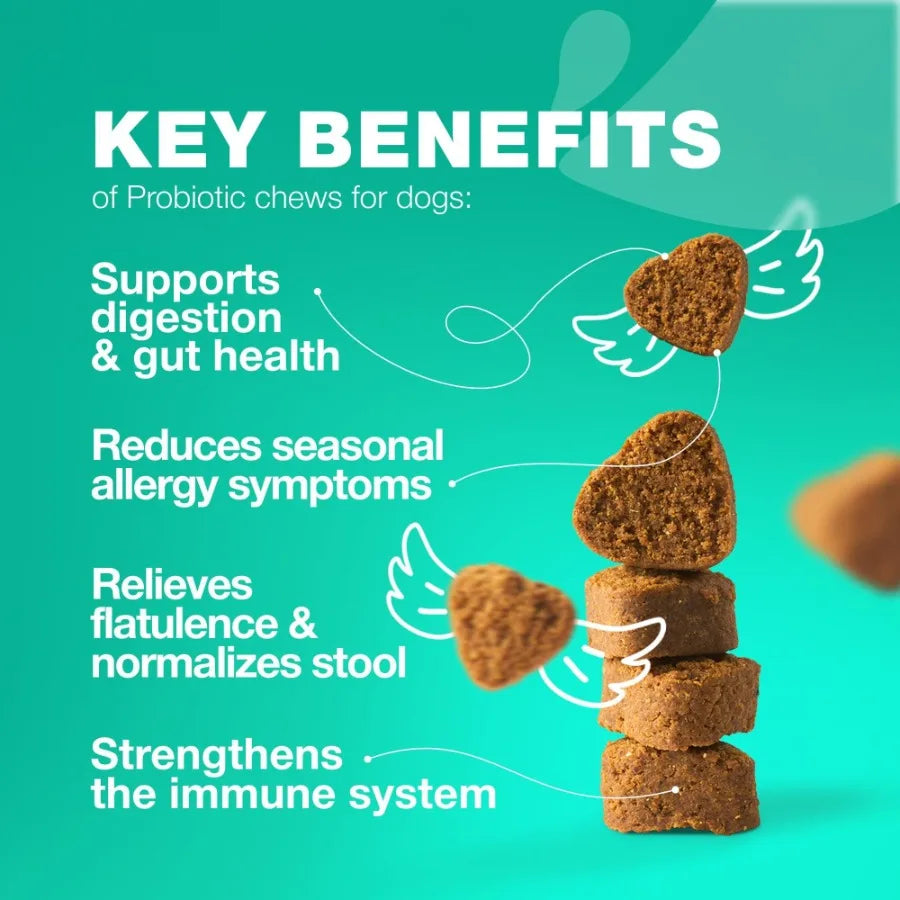 Dog Probiotic & Digestive Enzyme Soft Chew Travel Pack