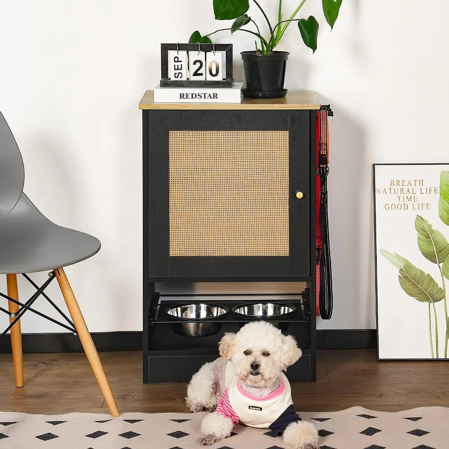 Pet Feeder Station w/Storage Cabinet