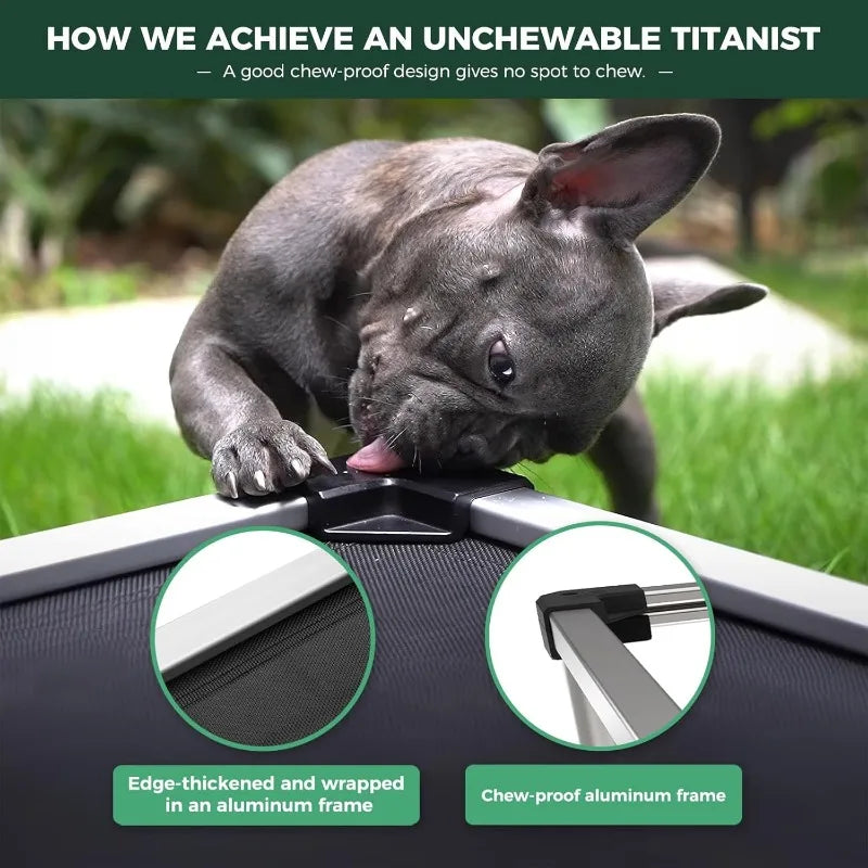 Durable Waterproof Elevated Cooling Dog Bed