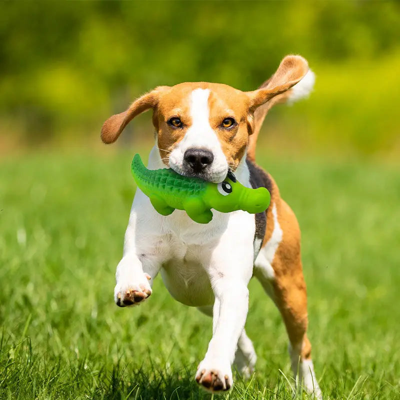 Squeaky Rubber Crocodile Dog Chew Toy