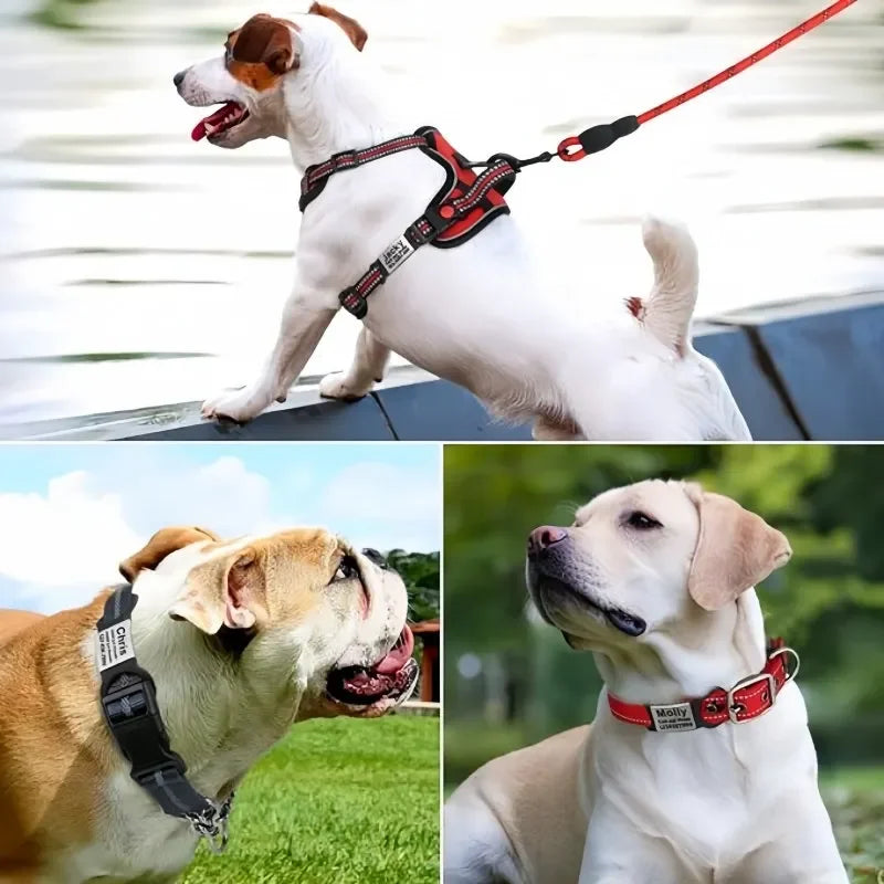 Custom Laser Engraved Pet ID Collar Charm