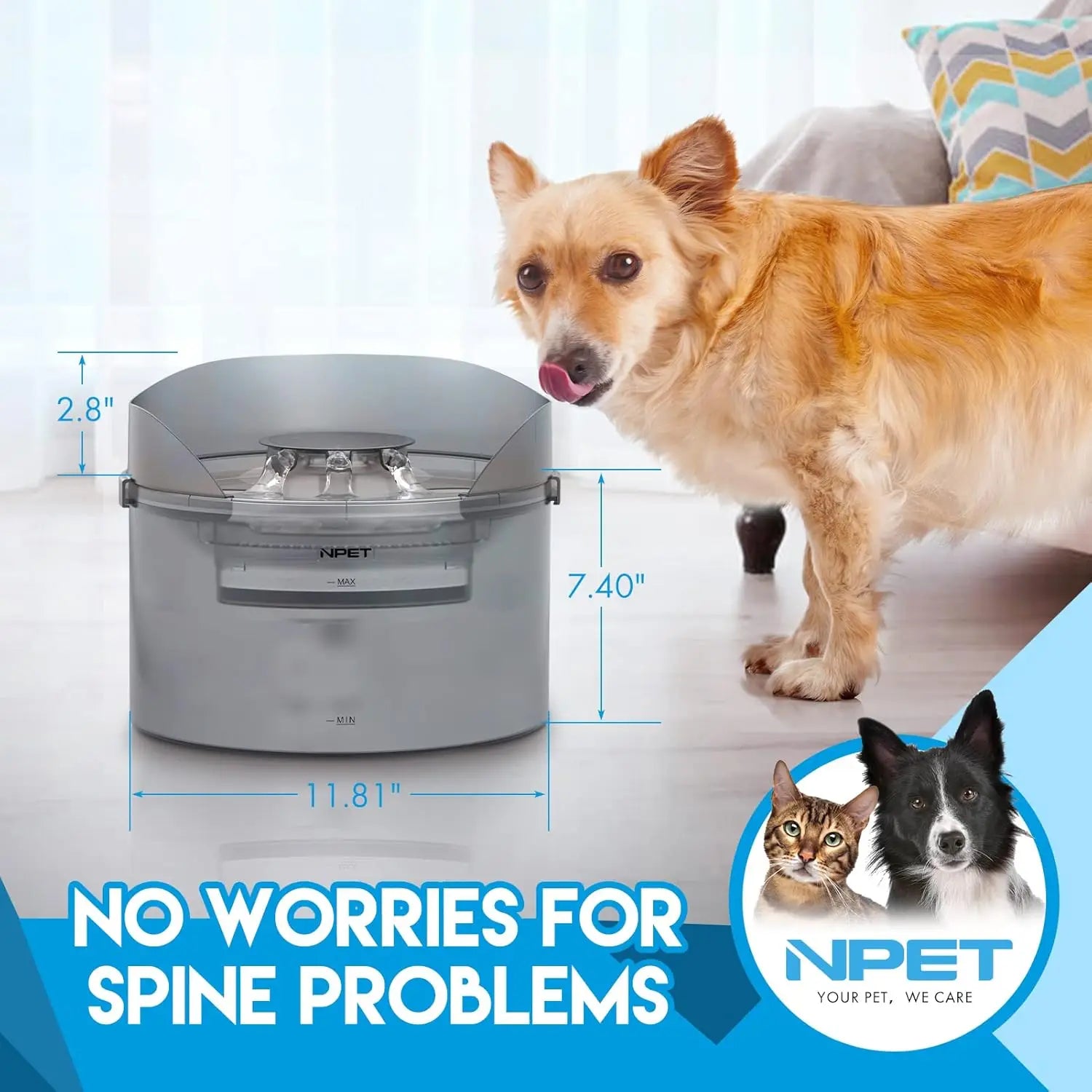 NPET Large Pet Water Fountain w/Splash Guard