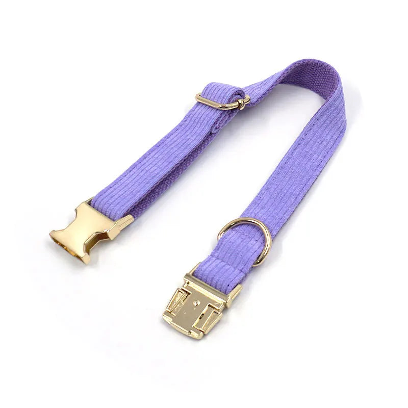 Fashion Corduroy Dog Collar w/ Gold Metal Buckle