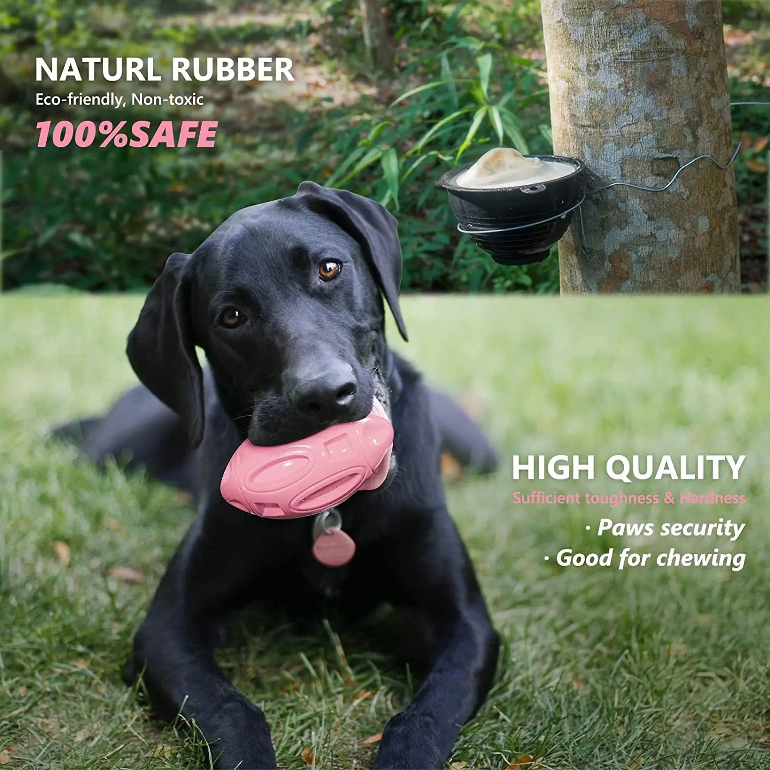 Ultra-Durable Rubber Squeaky Chew & Fetch Dog Ball