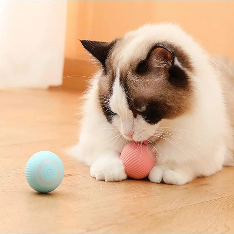 Gravity Intelligent X-Small Electric Rolling Smart Pet Ball