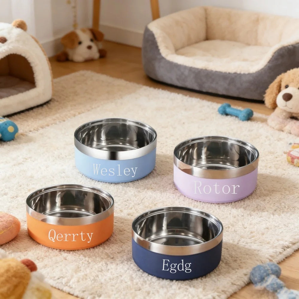 Custom Engraved Stainless Steel Non-Slip Double Layer Pet Bowl
