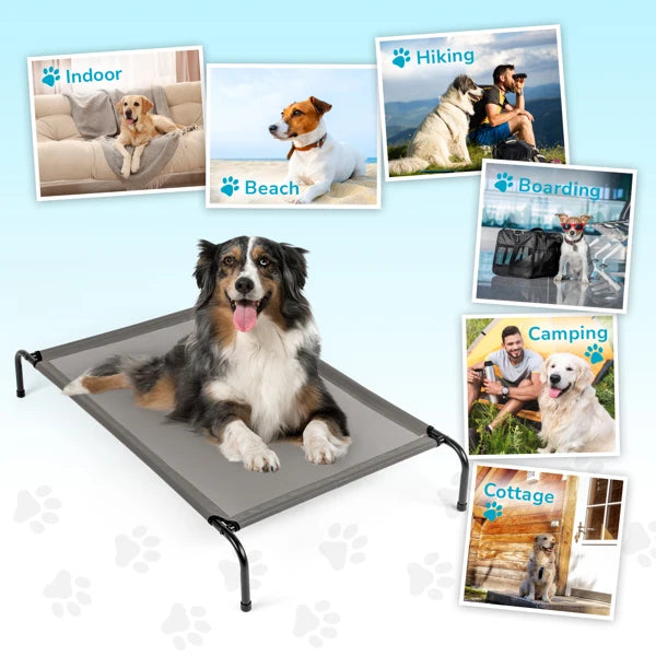 Elevated Pet Bed Detachable Multifunction