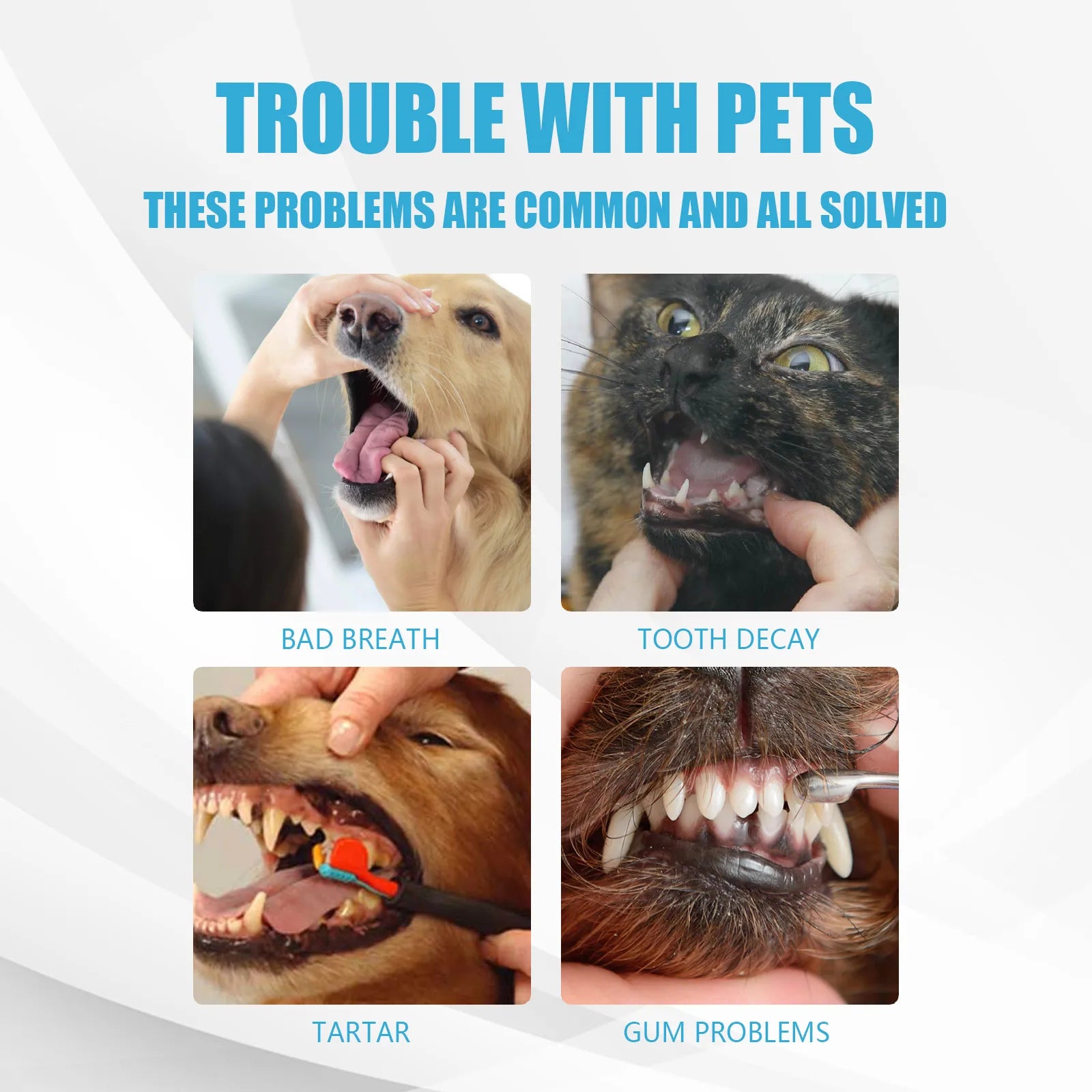 Advanced Oral Care Pet Toothpaste