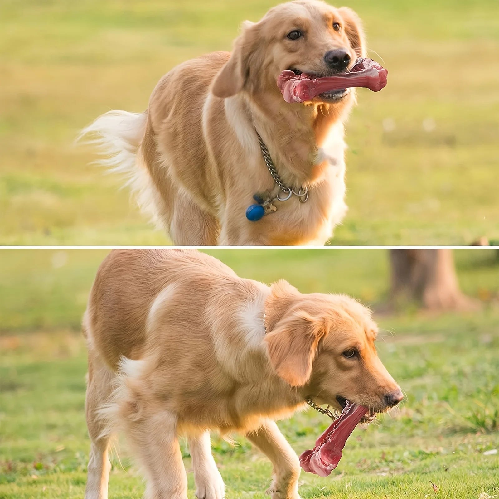 Bone-Shaped Indestructible Rubber Dog Chew Toy