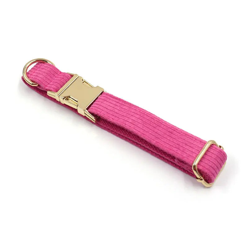 Fashion Corduroy Dog Collar w/ Gold Metal Buckle