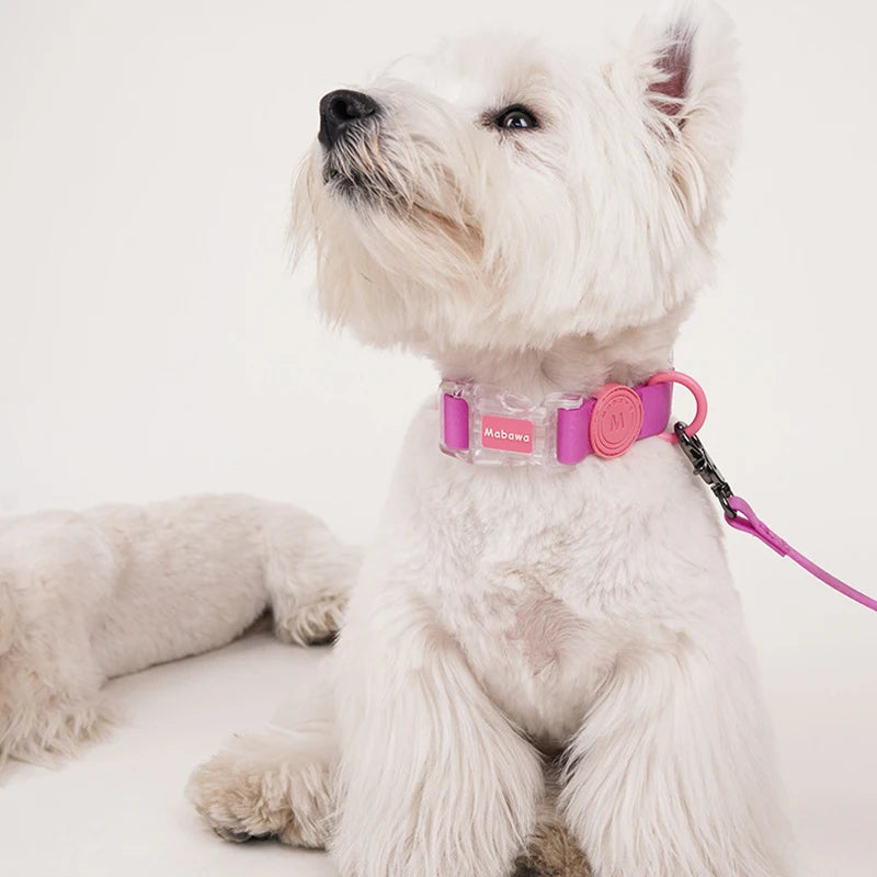 Luxury Dog Collar