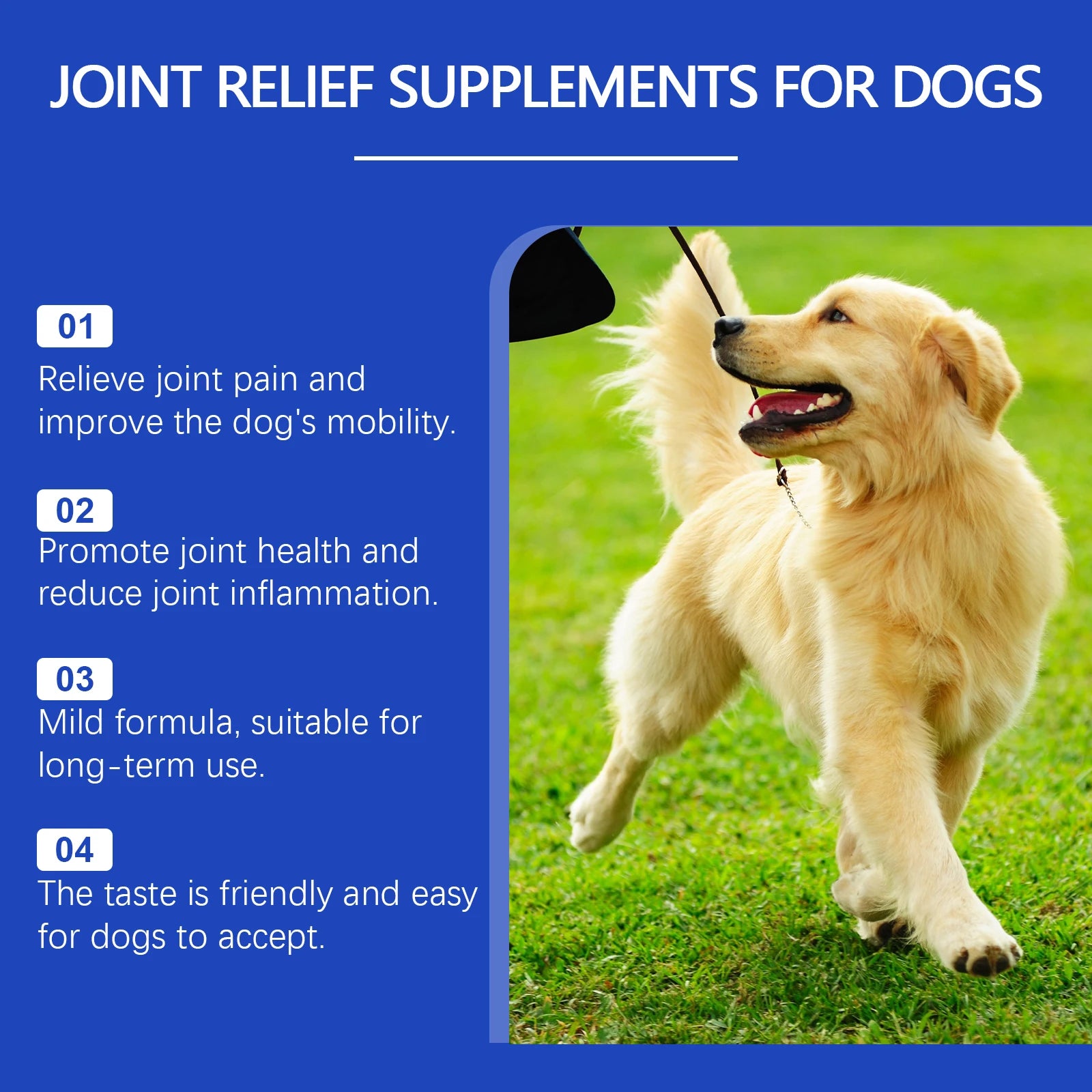 Dog Joint Relief Nutritional Supplement