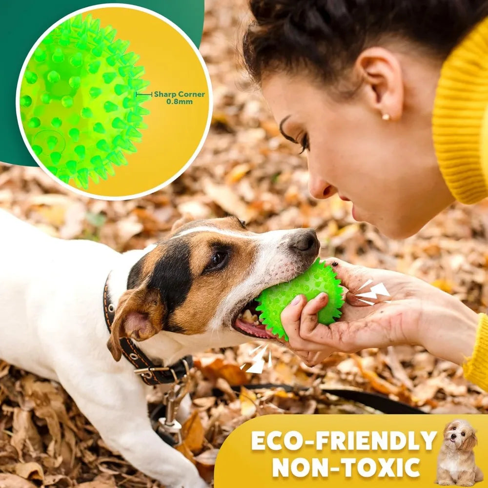Multi-Pack Squeaky Teething Chew & Treat Balls for Small Dogs