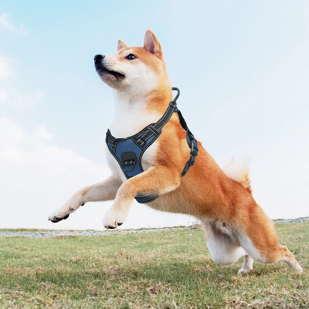 No-Pull Nylon Adjustable Reflective Dog Vest Harness w/ 2 Metal Leash Hooks