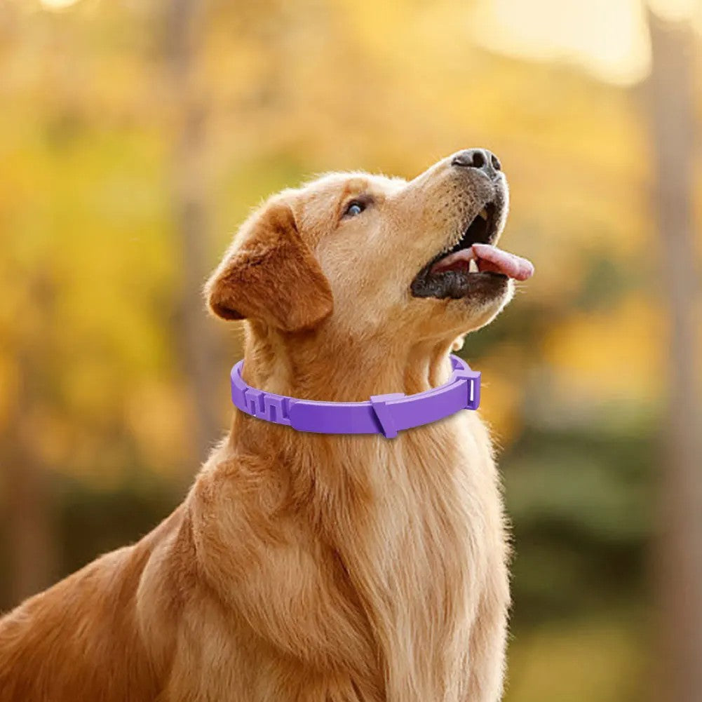 3PC Set Long Lasting Stress & Anxiety Relief Dog Calming Collars
