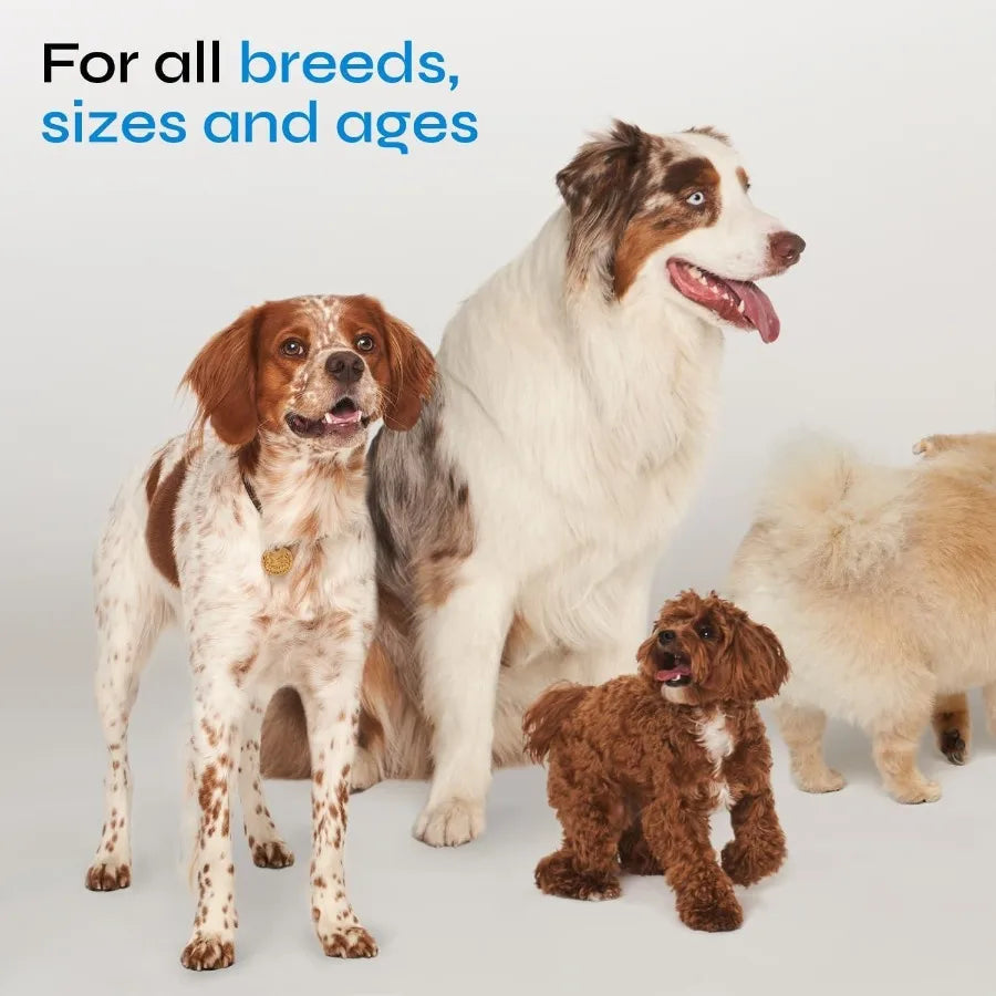 Immune System Support Dog Probiotic Soft Chews