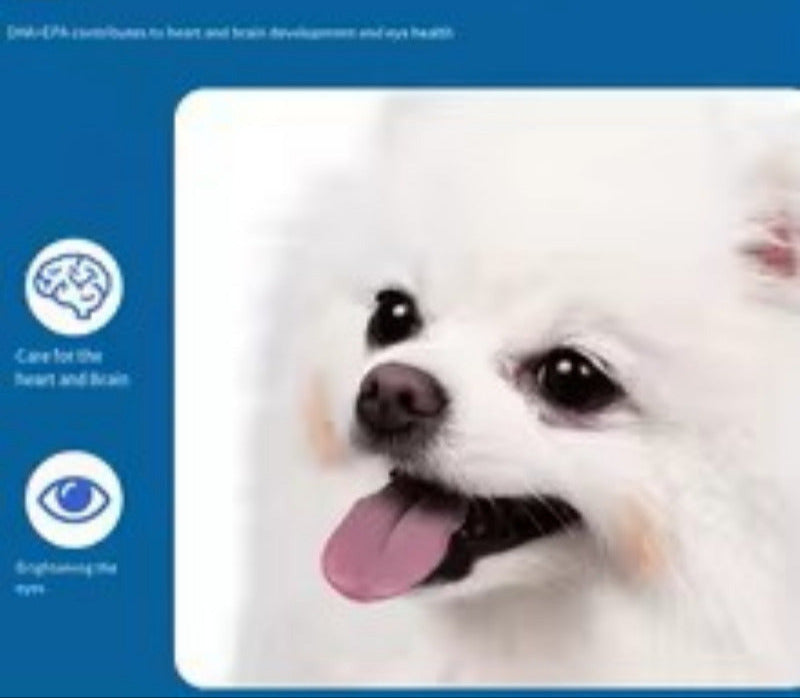 Omega-3 Fish Oil Skin & Coat Health Support For Dogs